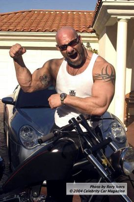 Goldberg Arm And Biceps Tattoo